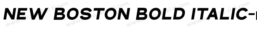 New Boston Bold Italic字体转换